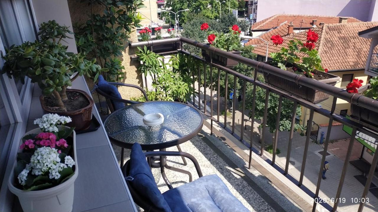 Apartman Rada Pirot Kültér fotó